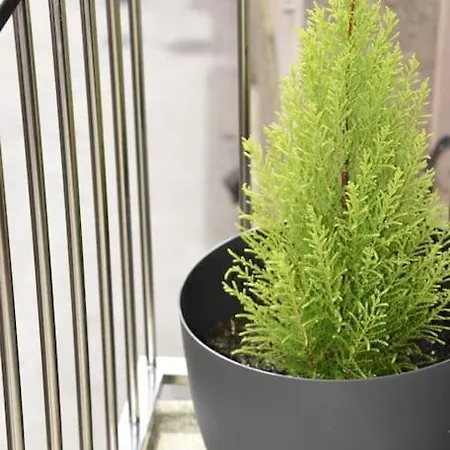 Vakantiehuis Casa Punta Balea, En El Centro Cangas do Morrazo