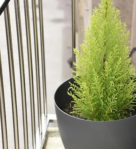 Сasa de vacaciones Casa Punta Balea, En El Centro Cangas do Morrazo